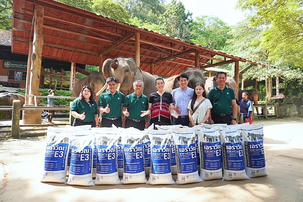 CPF and partners continue support "Saving Thai Elephants” project